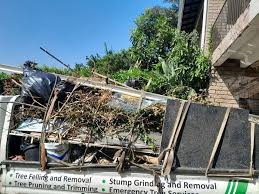 Best Construction Debris Removal  in Arcola, VA